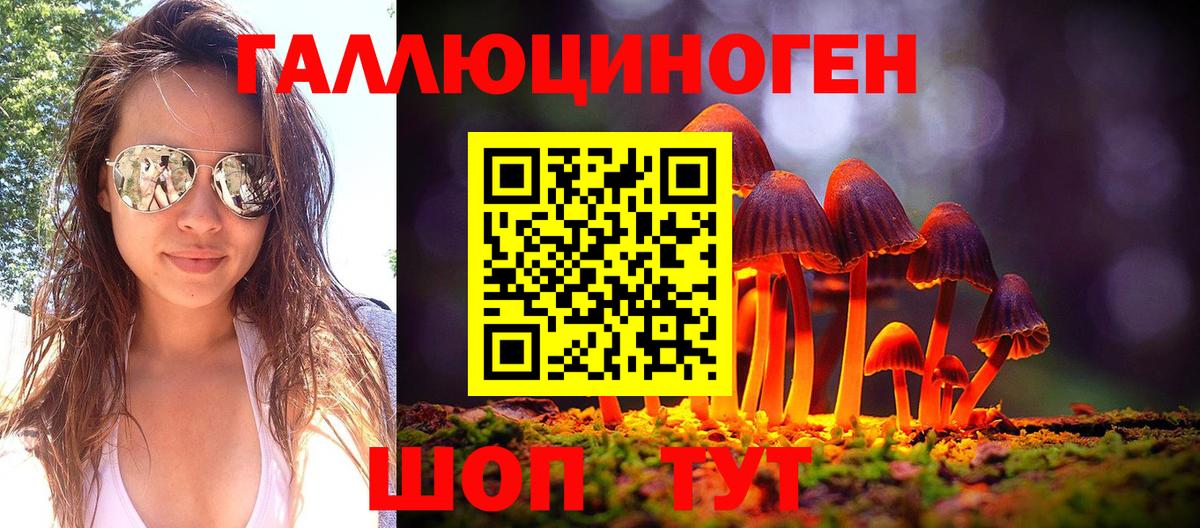 Галлюциногенные грибы GOLDEN TEACHER  Вход с VPN  Псилоцибиновые грибы MAGIC MUSHROOMS  Новоалтайск 