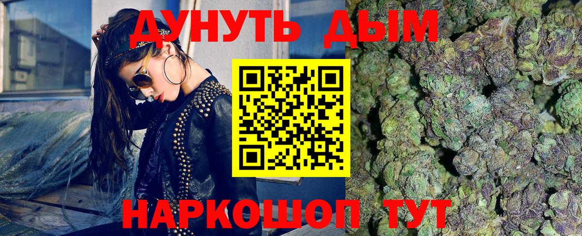 Марихуана сатива Новоалтайск